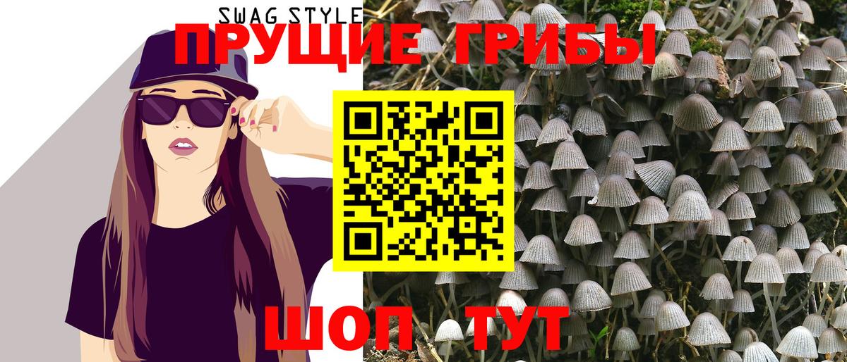 продажа наркотиков  Псилоцибиновые грибы Cubensis  Вход с VPN  Карабулак 